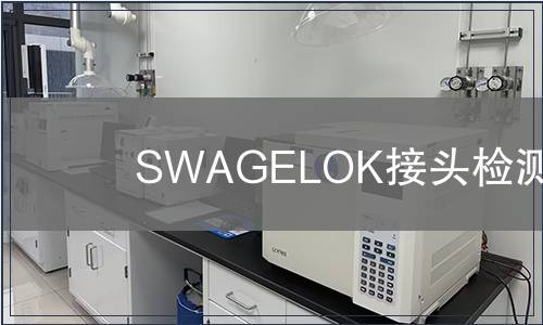 SWAGELOK接头检测