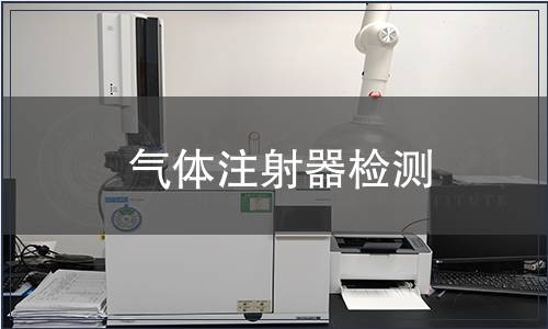 气体注射器检测