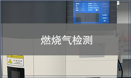 燃烧气检测