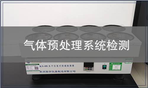 气体预处理系统检测