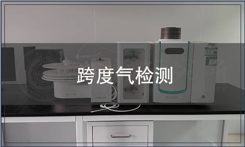 跨度气检测