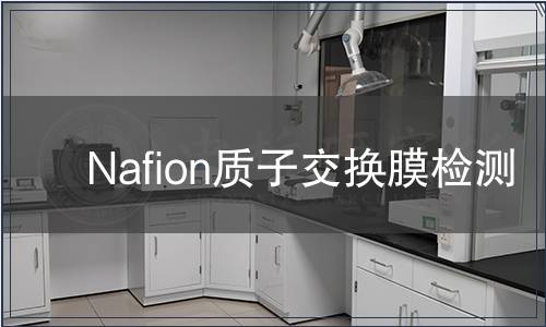 Nafion质子交换膜检测