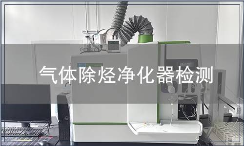气体除烃净化器检测