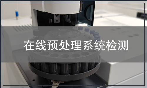 在线预处理系统检测