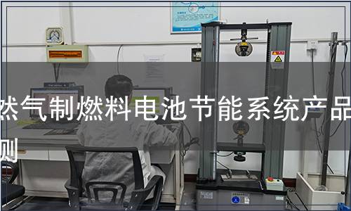 天然气制燃料电池节能系统产品检测