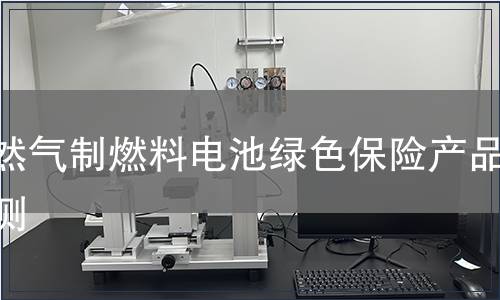 天然气制燃料电池绿色保险产品检测
