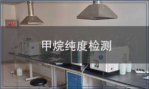 甲烷纯度检测