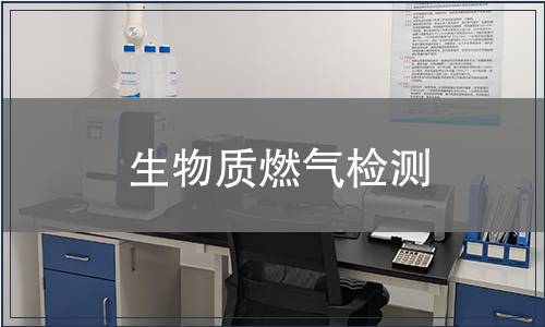 生物质燃气检测