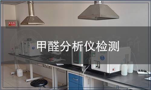 甲醛分析仪检测