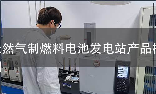 天然气制燃料电池发电站产品检测