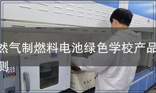 天然气制燃料电池绿色学校产品检测