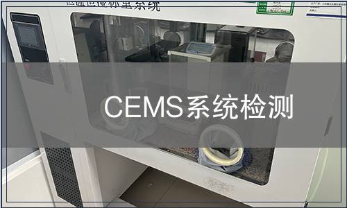 CEMS系统检测