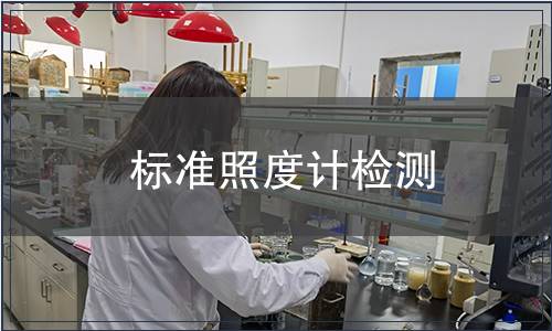 标准照度计检测