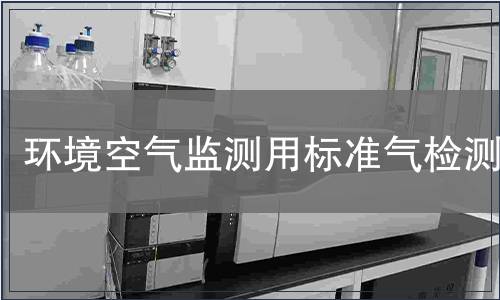 环境空气监测用标准气检测
