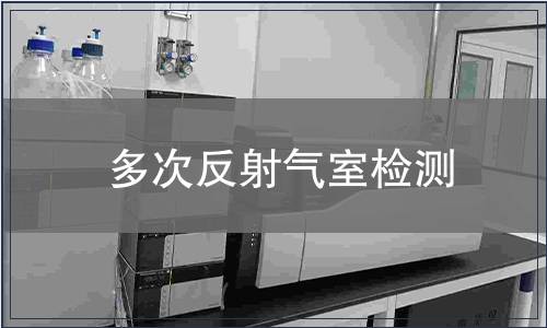 多次反射气室检测