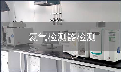 氦气检测器检测