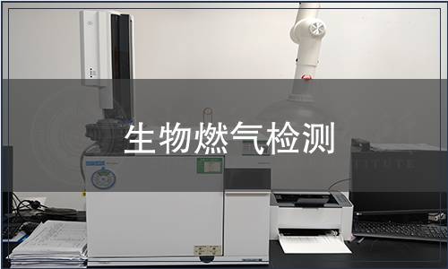 生物燃气检测