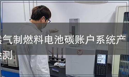 天然气制燃料电池碳账户系统产品检测