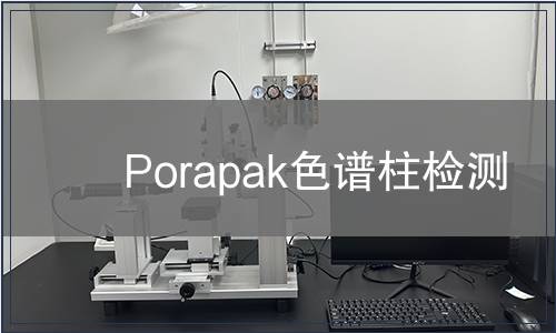 Porapak色谱柱检测