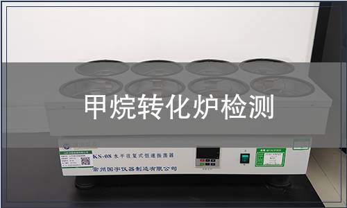 甲烷转化炉检测