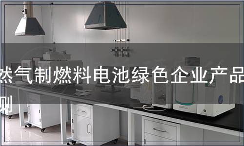 天然气制燃料电池绿色企业产品检测