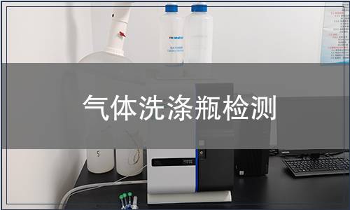 气体洗涤瓶检测