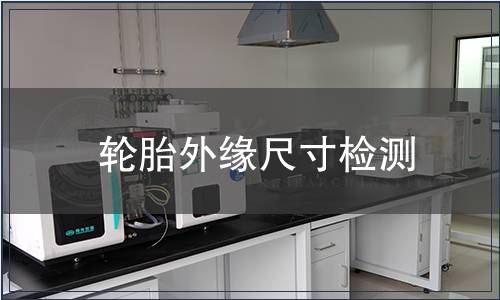 轮胎外缘尺寸检测