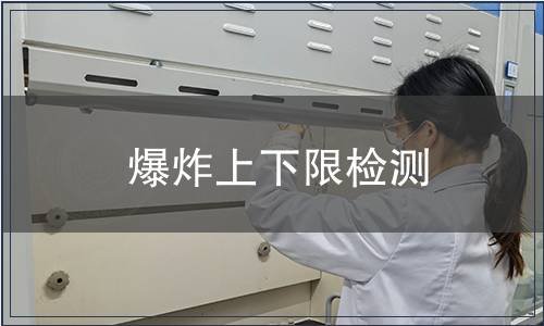 爆炸上下限检测