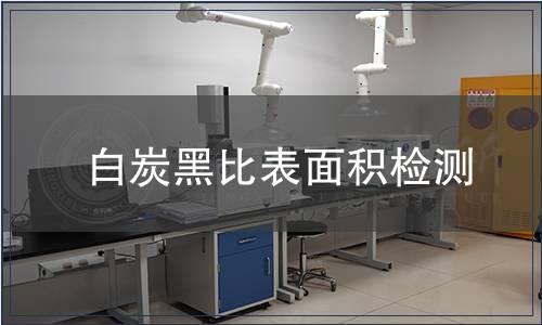 白炭黑比表面积检测