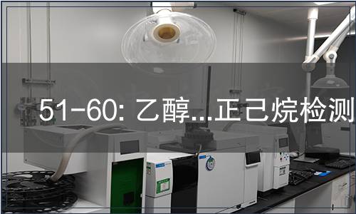 51-60: 乙醇...正己烷检测