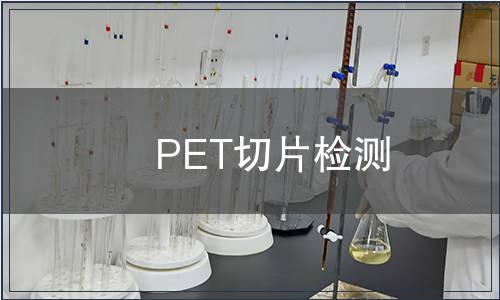 PET切片检测