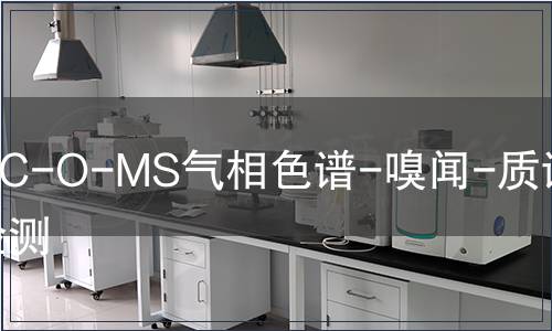 GC-O-MS气相色谱-嗅闻-质谱联用检测