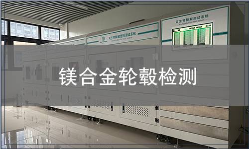 镁合金轮毂检测