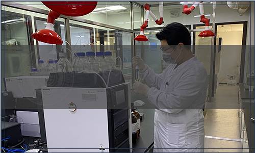 山西省林学会关于发布《沙棘叶中总黄酮含量的测定方法 分光光度比色法》等13项团体标准的公告(晋林会字(2024)第17号),标准公告 山西省林学会关于发布《沙棘叶中总黄酮含量的测定方法 分光光度比色法》等13项团体标准的公告(晋林会字(2024)第17号)