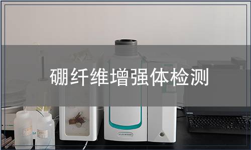 硼纤维增强体检测