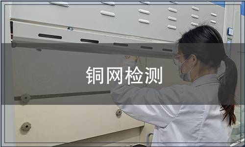 铜网检测