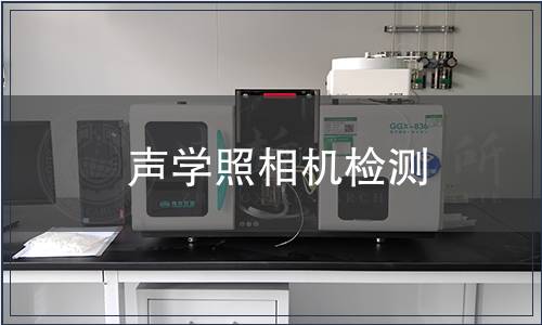 声学照相机检测