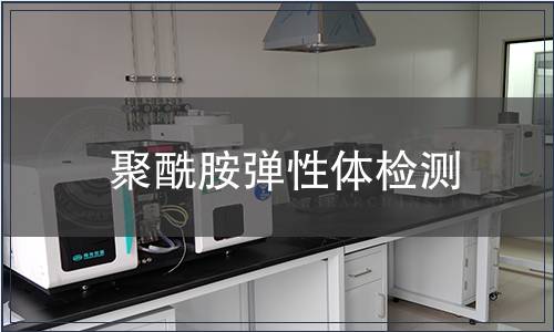 聚酰胺弹性体检测