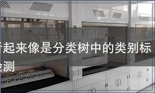这看起来像是分类树中的类别标签检测