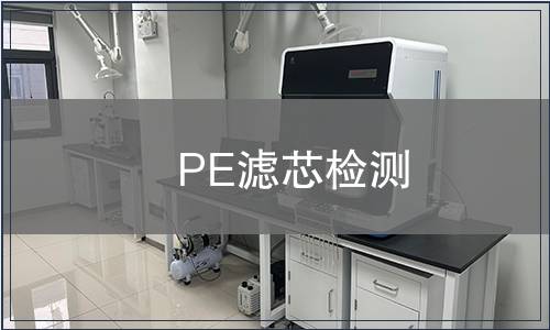 PE滤芯检测