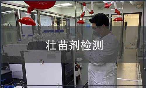 壮苗剂检测