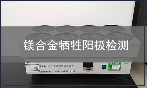 镁合金牺牲阳极检测