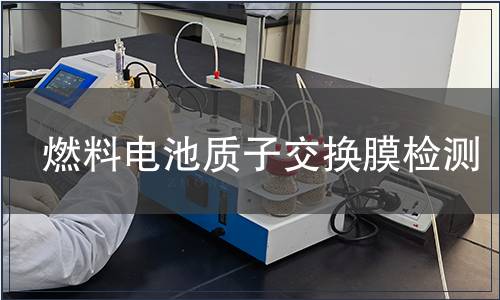 燃料电池质子交换膜检测