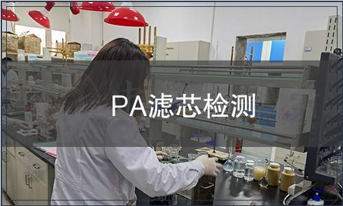 PA滤芯检测