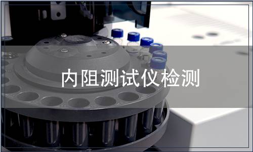 内阻测试仪检测