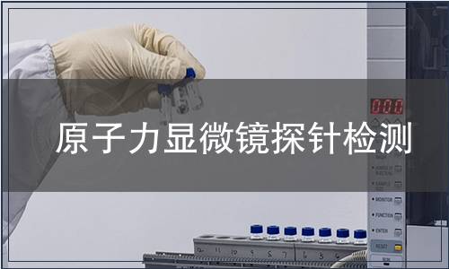原子力显微镜探针检测