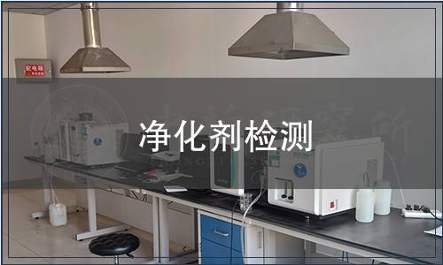 净化剂检测