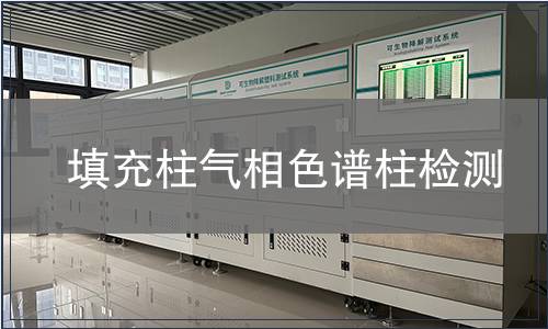 填充柱气相色谱柱检测