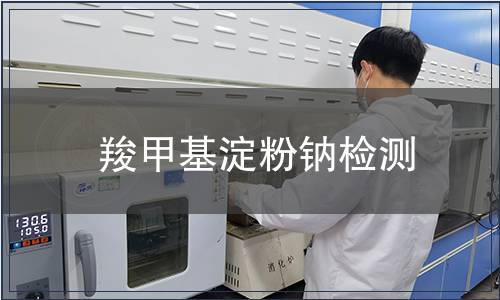 羧甲基淀粉钠检测