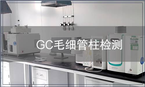 GC毛细管柱检测